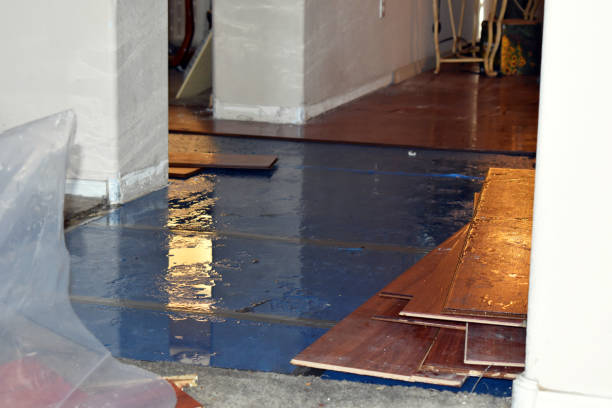 Professional Water Damage Restoration technician working in Nixon, TX